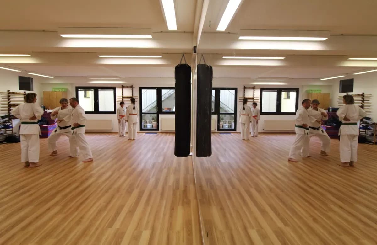 Partnerübungen der Gruppe im Dojo