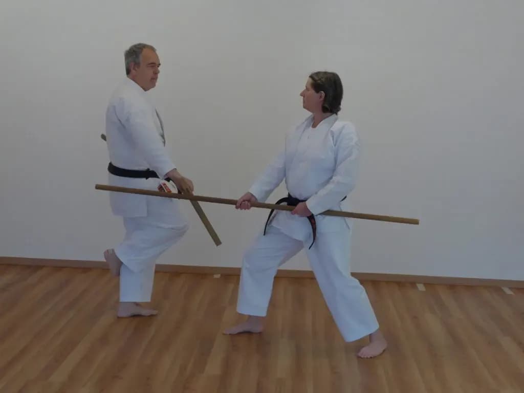 Bo gegen Tonfa